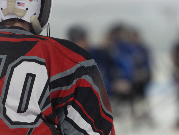 <h1>Inline Hockey at Pepsi Roller Sports Arena</h1>