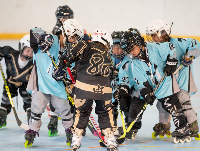 <h1>Inline Hockey</h1>