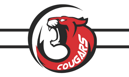 Club Team Inline Hockey Jersey