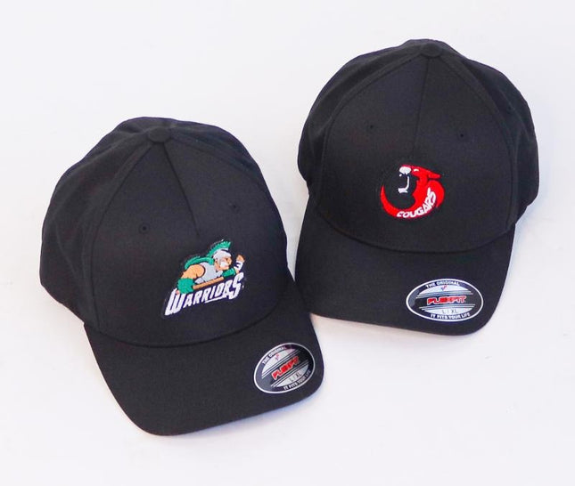 Embroidered Team Hat