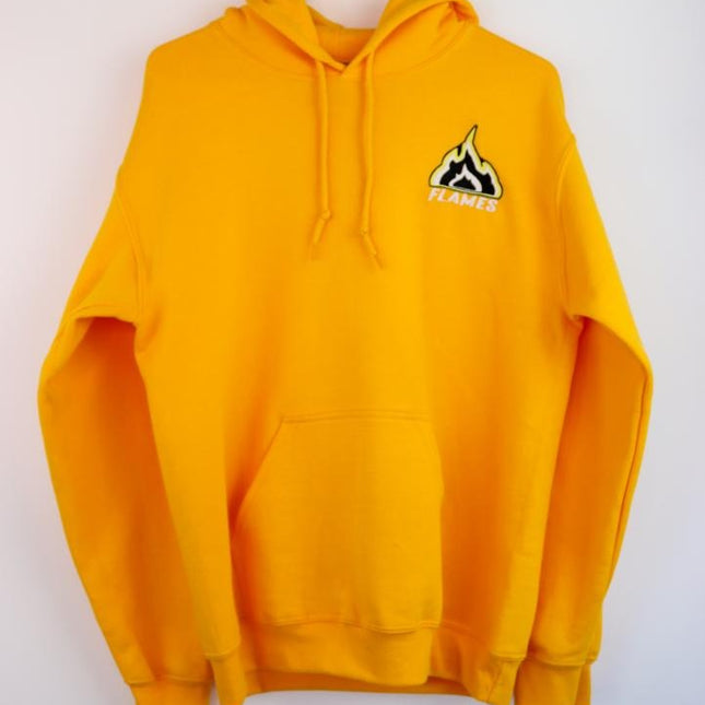 Embroidered Team Hoodie